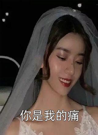 九年相恋，无疾而终畅销小说推荐