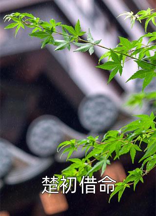 劝你不要抄精品全篇