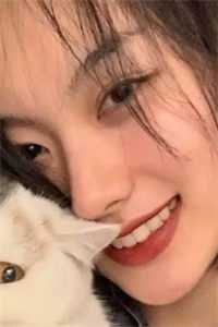 女儿死后三天，团长老婆才赶回家许静怡顾晨最新章节